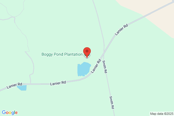 Boggy Pond Plantation