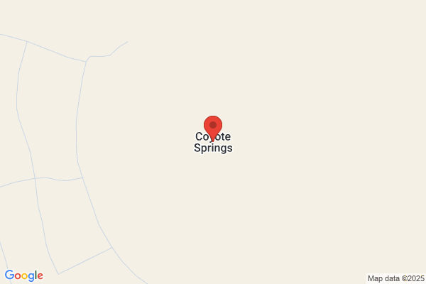 Coyote Springs Trading Co