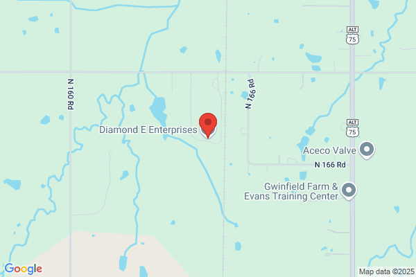 Diamond D Enterprises Inc