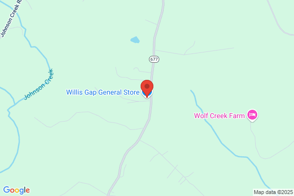 Willis Grocery