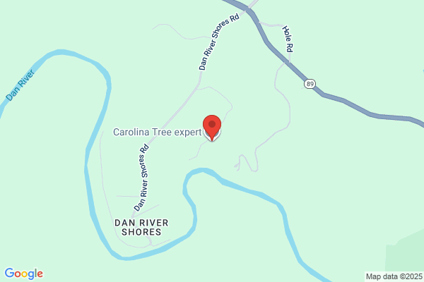 Rc Expert Tree Service