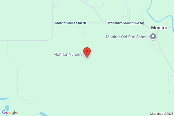 Monitor Nursery
