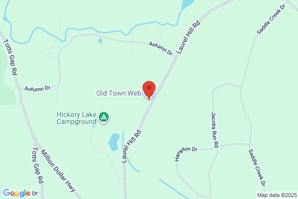 Old Town Web LLC