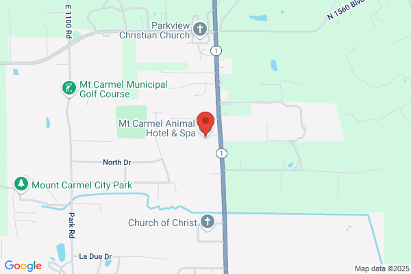 Mt Carmel Animal Hospital