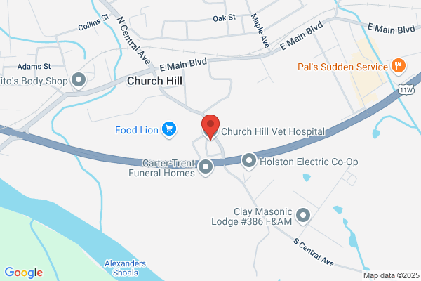 Church Hill Vet Hospital