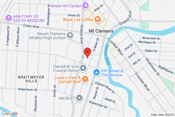 Michigan Lawyer Help