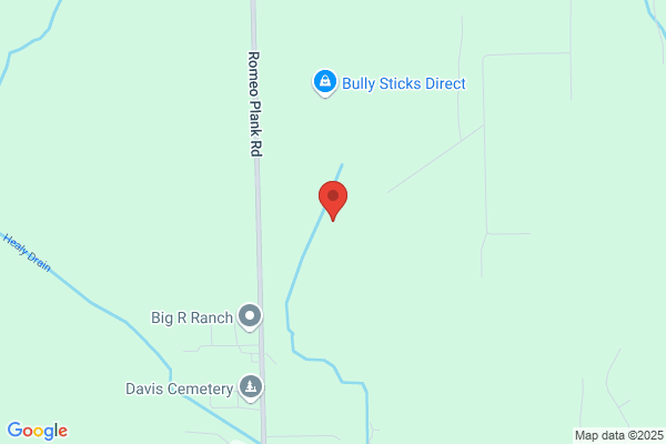 David Allemon Septic Tank Cleaning