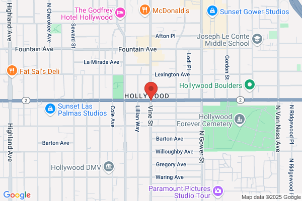 Hollywood Video