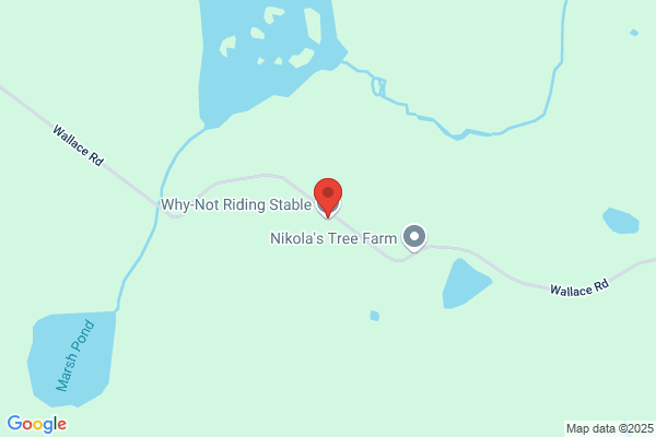 Why-Not Riding Stable