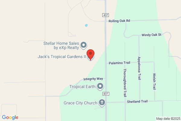 Jacks Tropical Gardens II