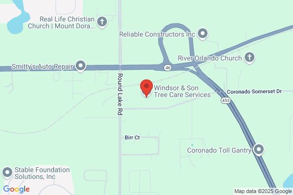 Windsor & Son Tree Care Services