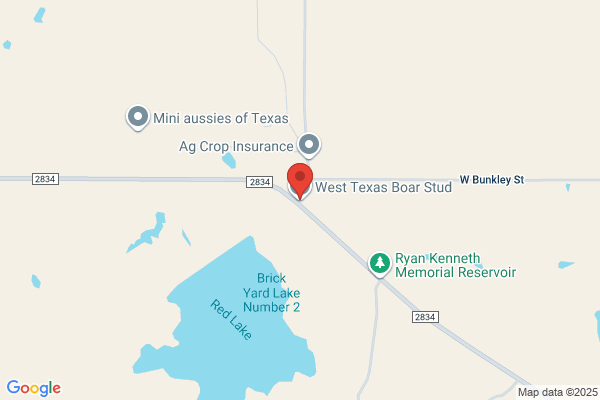 Boar Stud Farms