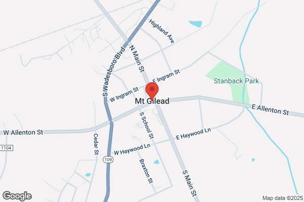 Town of Mt Gilead, Police Department