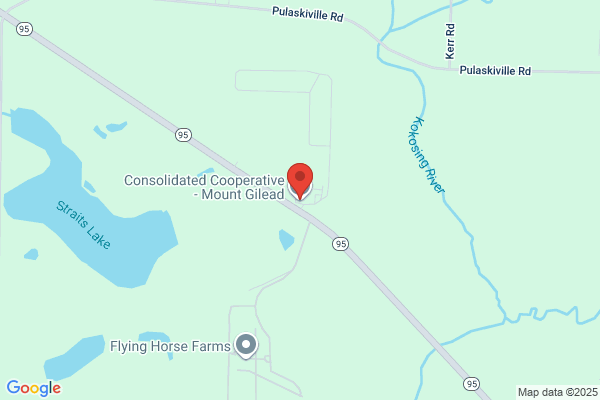Consolidated Electric Co Op Inc