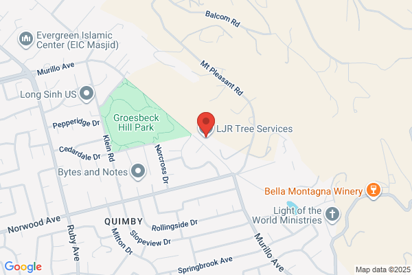 LJR TREE SERVICES INC.
