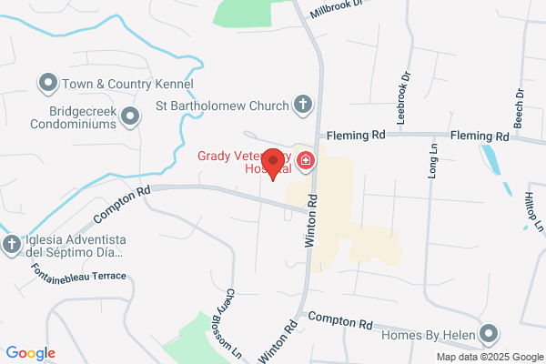 Kelly Youth Services Inc