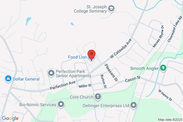Food Lion