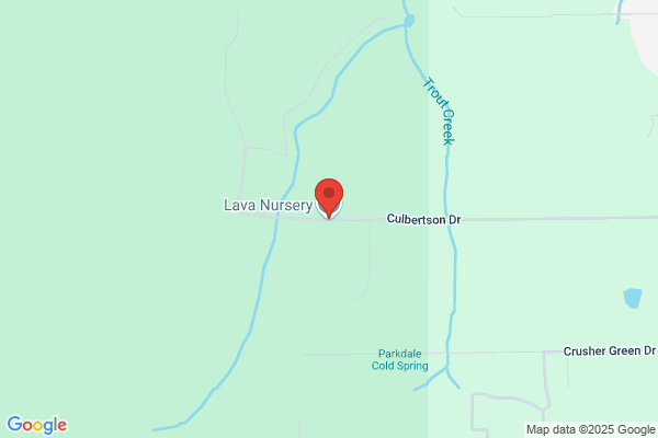 Lava Nursery Inc