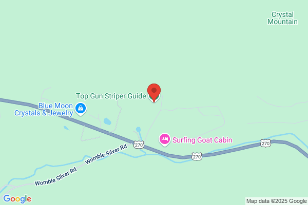 Top Gunn Guide Service & Lodging