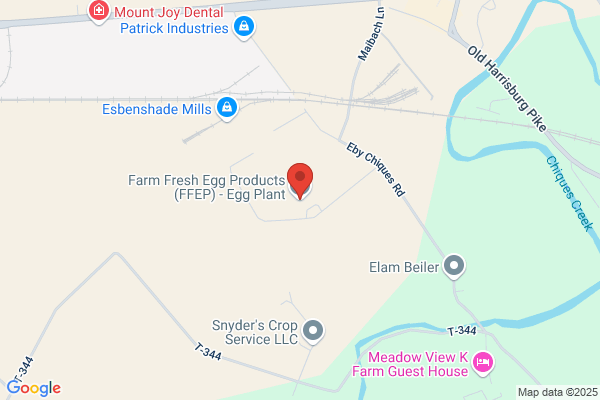 Egg Basket