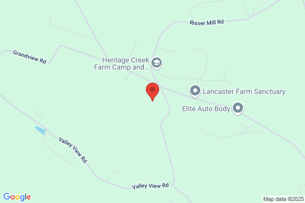 Eastland Alpacas