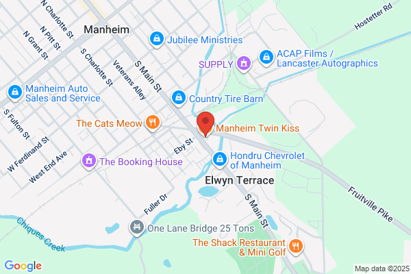 Twin Kiss Drive-In