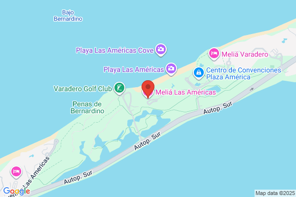montrose las americas