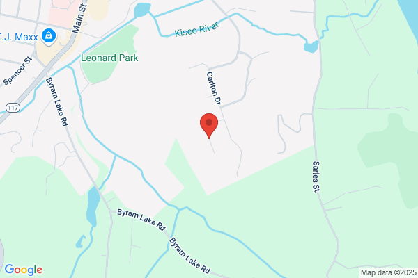 Village of Mt Kisco