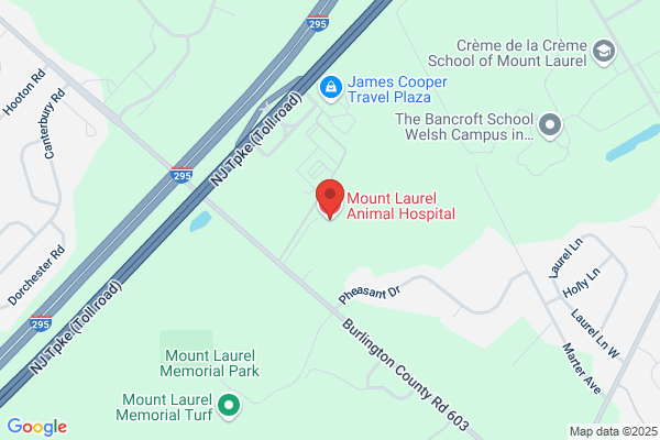 Mount Laurel Animal Hospital