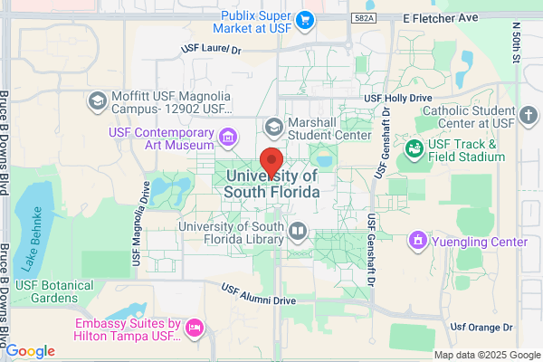 University of South Florida