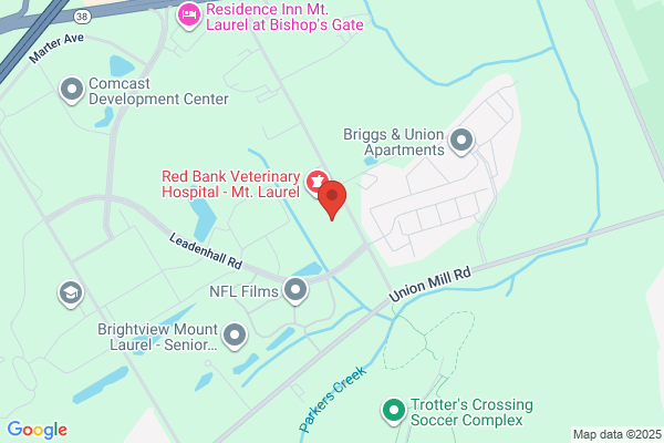 Children's Dental Care Associate