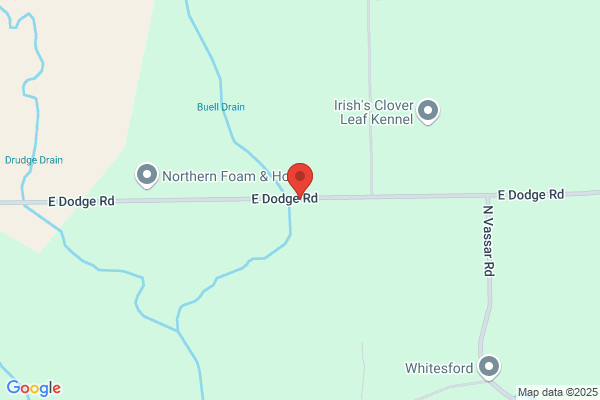 Mid-Michigan Tree Service