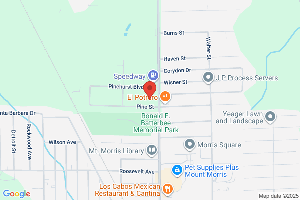 AutoZone Auto Parts