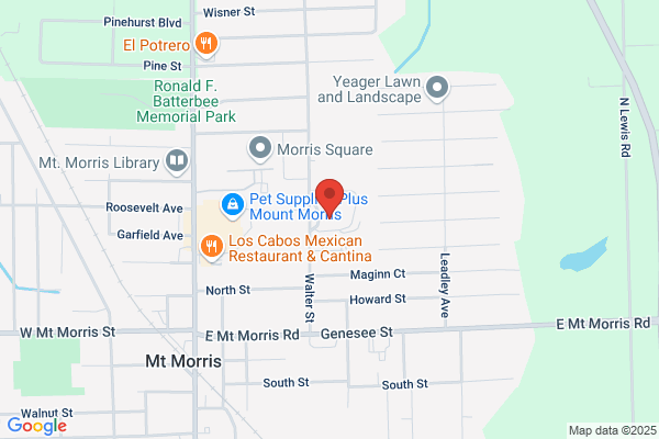 Mt Morris Schools, Junior High School