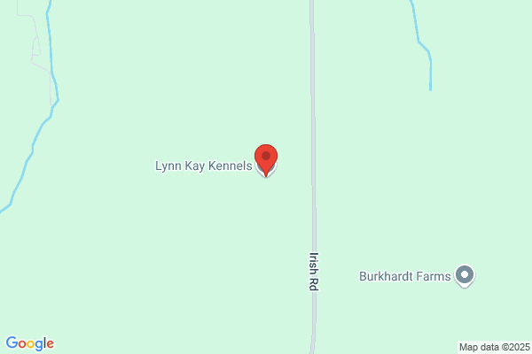 Lynn Kay Kennels