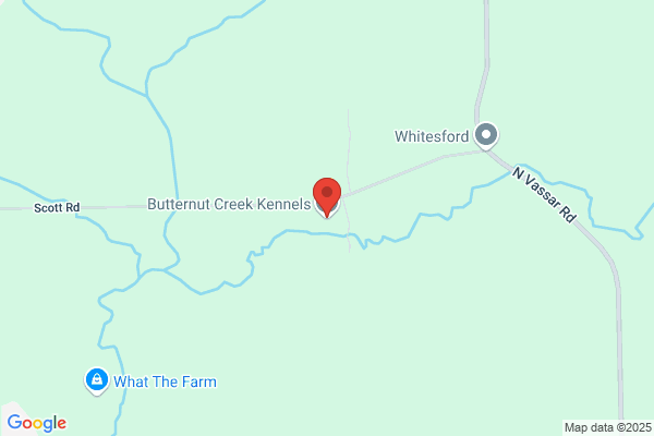 Butternut Creek Kennels