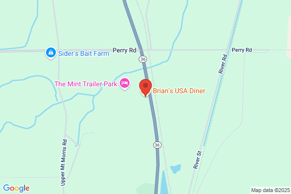 Brians USA Diner