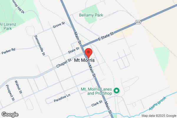 Mt Morris Town of, Town Assessor
