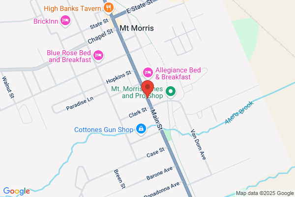 Mt. Morris Village of