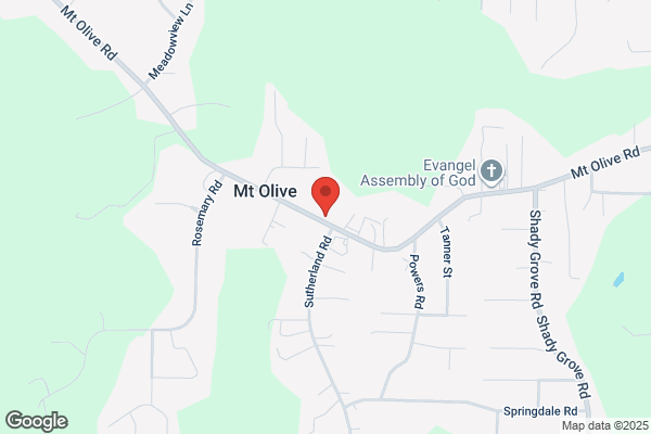 Mt Olive Chevron