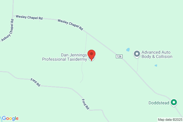 Jennings Dan Professional Taxidermy