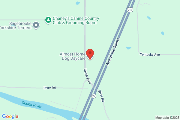 Almost Home Dog Daycare & Boarding