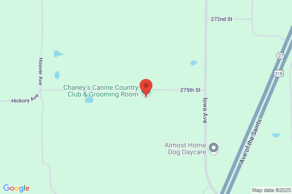 Chaney's Canine Country Club & Grooming Room