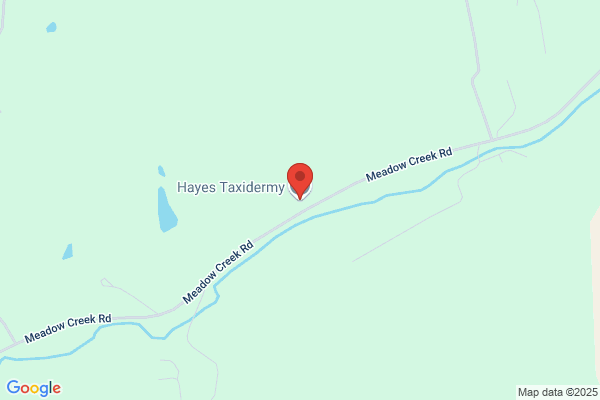 Hays Taxidermy