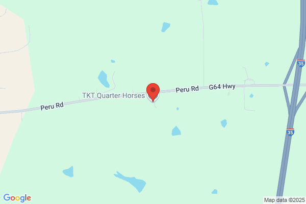 Roth Quarter Horses