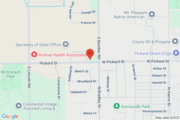 Central Michigan Pregnancy Services