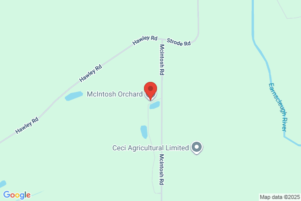 McIntosh Orchard