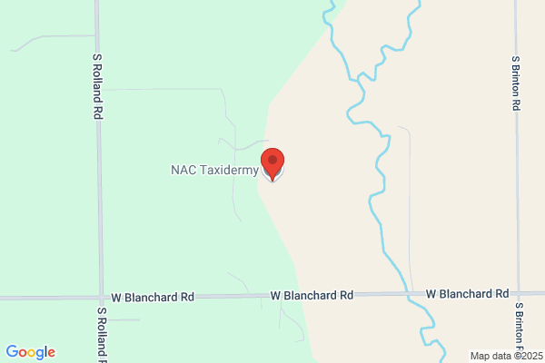 Nac Taxidermy