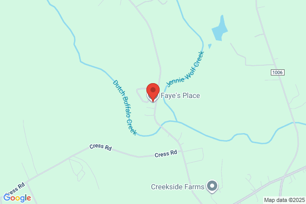 Faye's Place