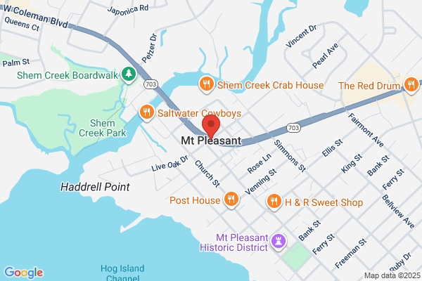 Mt Pleasant Town of, Planning & Zoning
